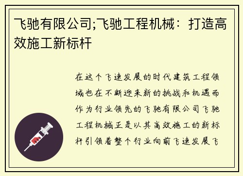 飞驰有限公司;飞驰工程机械：打造高效施工新标杆